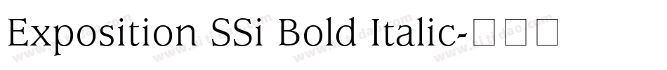Exposition SSi Bold Italic字体转换